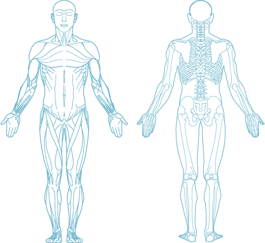 Body Map