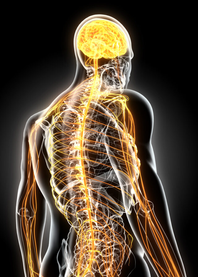 Dorsal Root Ganglion Neuromodulation - Colorado Pain Care